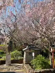 芳林寺の自然