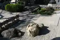 極楽寺(京都府)