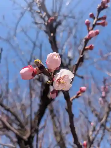 七重浜海津見神社(北海道)