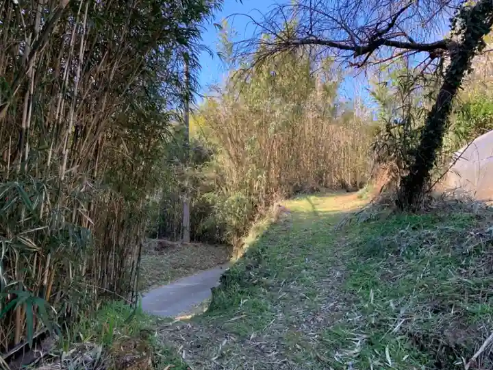 浅間神社の周辺