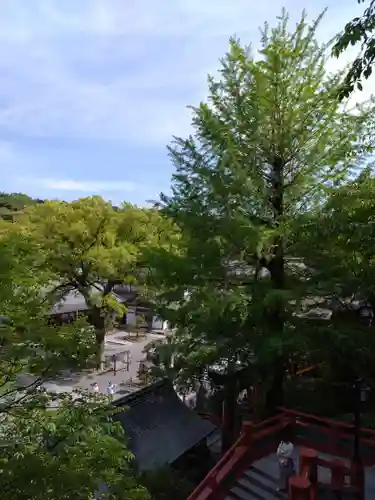 祐徳稲荷神社(佐賀県)