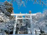 深雪の白大鳥居