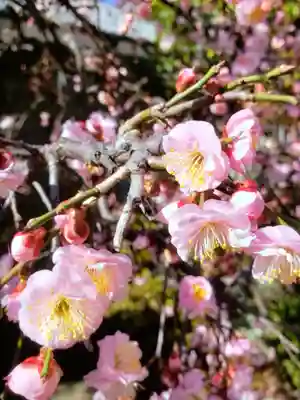 松應寺(東京都)