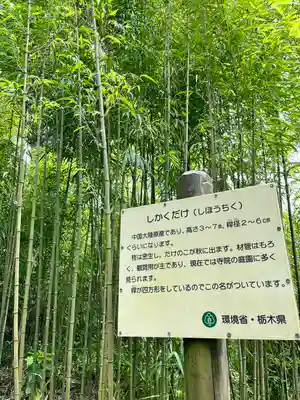 西明寺(栃木県)