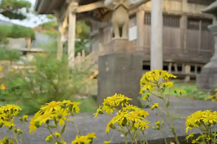 白山媛神社(新潟県)