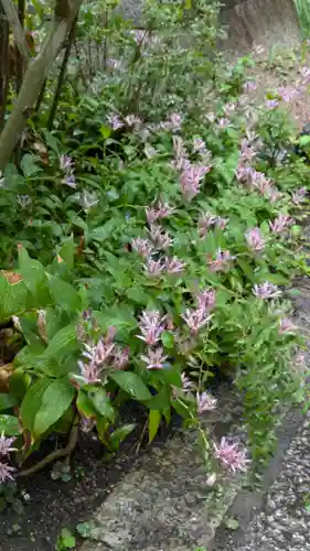 冷雲院(大阪府)