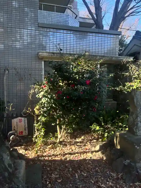 印内八坂神社(千葉県)