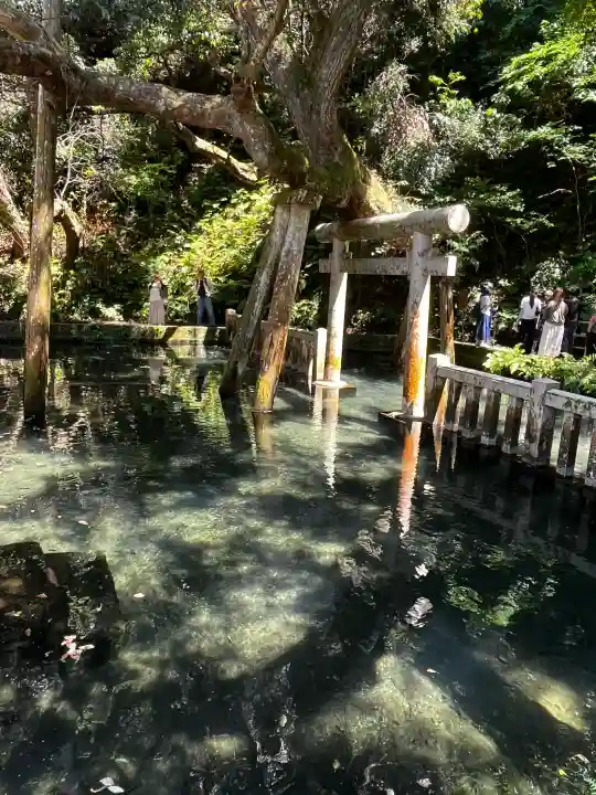 鹿島神宮の{uncategorized: "未分類", other: "その他", undefined: "問題あり", building: "その他建物", grave: "お墓", sacred_gate: "鳥居", guardian: "狛犬", statue: "像", buddha: "仏像", history: "歴史", nature: "自然", garden: "庭園", animal: "動物", pagoda: "塔", temizu: "手水舎", mountain_gate: "山門・神門", sanctuary: "本殿・本堂", subordinate: "末社・摂社", art: "芸術", scenery: "景色", jizo: "地蔵", ema: "絵馬", goshuin: "御朱印", omikuji: "おみくじ", items: "授与品その他", amulet: "お守り", goshuincho: "御朱印帳", eats: "食事", festival: "お祭り", votive_dance: "神楽", shichigosan: "七五三参", wedding: "結婚式", experience: "体験その他", initially: "初詣", around: "周辺", anti_infection: "感染症対策"}
