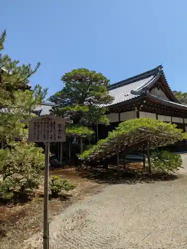 鹿苑寺（金閣寺）(京都府)