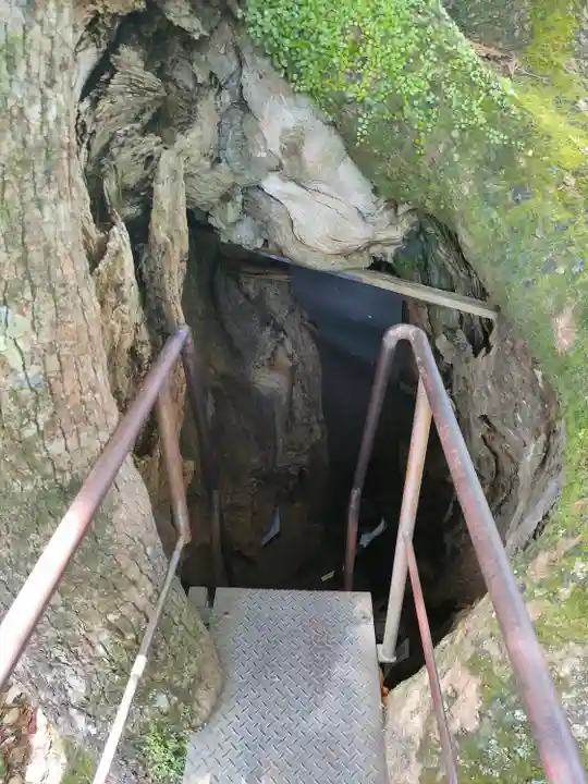 熊野那智大社(和歌山県)