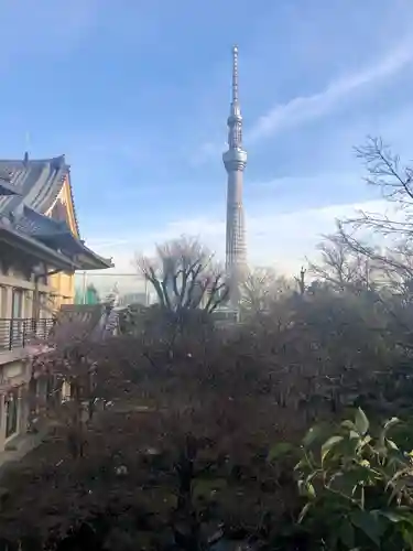 待乳山聖天（本龍院）の庭園