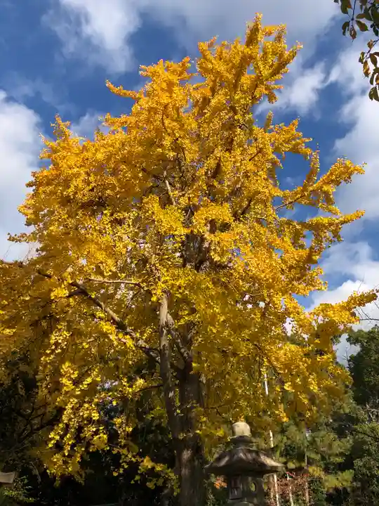 道明寺天満宮の自然