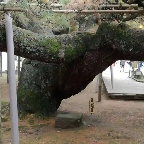 善養寺の庭園