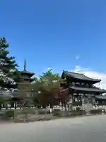 法隆寺の{uncategorized: "未分類", other: "その他", undefined: "問題あり", building: "その他建物", grave: "お墓", sacred_gate: "鳥居", guardian: "狛犬", statue: "像", buddha: "仏像", history: "歴史", nature: "自然", garden: "庭園", animal: "動物", pagoda: "塔", temizu: "手水舎", mountain_gate: "山門・神門", sanctuary: "本殿・本堂", subordinate: "末社・摂社", art: "芸術", scenery: "景色", jizo: "地蔵", ema: "絵馬", goshuin: "御朱印", omikuji: "おみくじ", items: "授与品その他", amulet: "お守り", goshuincho: "御朱印帳", eats: "食事", festival: "お祭り", votive_dance: "神楽", shichigosan: "七五三参", wedding: "結婚式", experience: "体験その他", initially: "初詣", around: "周辺", anti_infection: "感染症対策"}