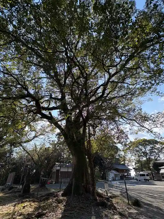 千栗八幡宮(佐賀県)