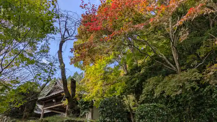 勝持寺(花の寺)(京都府)