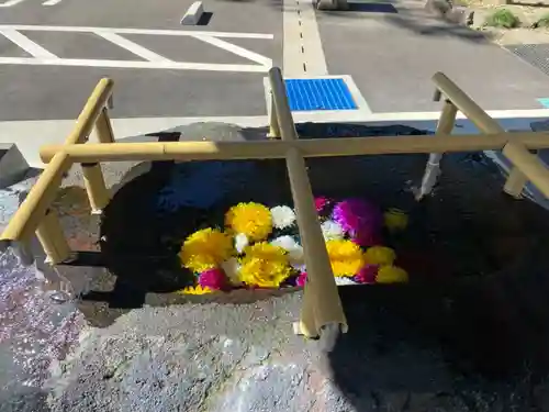 乃木神社の手水舎