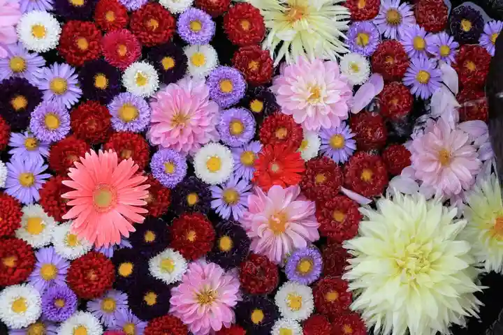 大鏑神社の手水舎