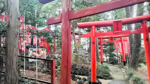開運招福 飯玉神社(群馬県)