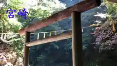 天岩戸神社の鳥居