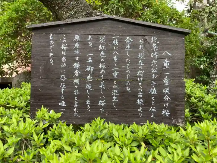 極楽寺(霊鷲山感應院極楽律寺)のその他建物