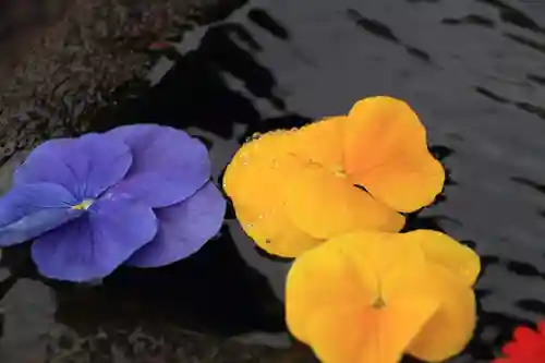 大鏑神社の手水舎