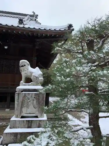 赤嵜神社の狛犬