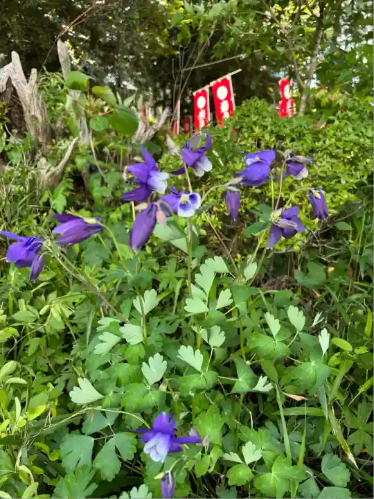 岩戸別神社(栃木県)
