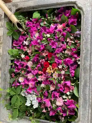 於菊稲荷神社(群馬県)