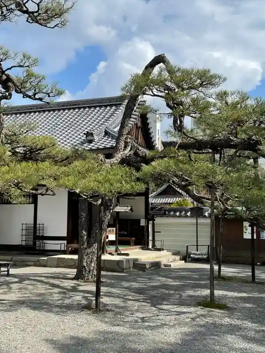 廬山寺(廬山天台講寺)の自然