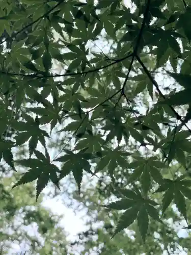 賀茂御祖神社（下鴨神社）(京都府)