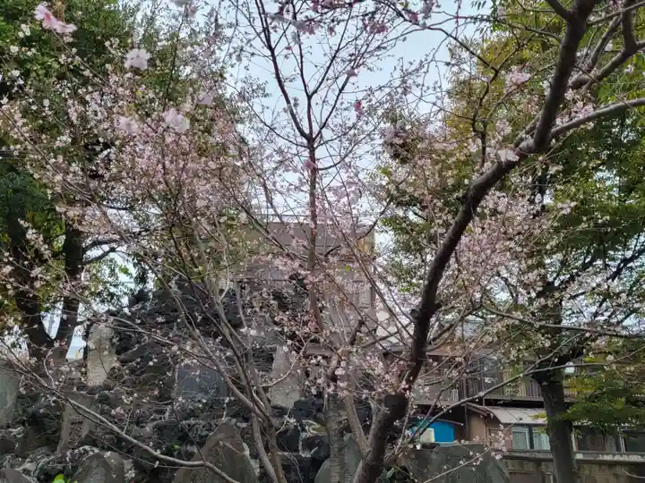 千住神社の自然