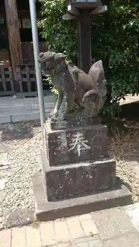 新羽杉山神社の狛犬