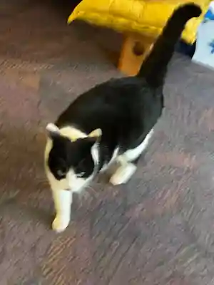 榛名神社(群馬県)