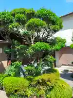 善正寺(奈良県)