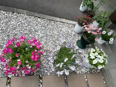 伊達神社(北海道)