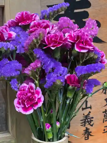 須山浅間神社(静岡県)