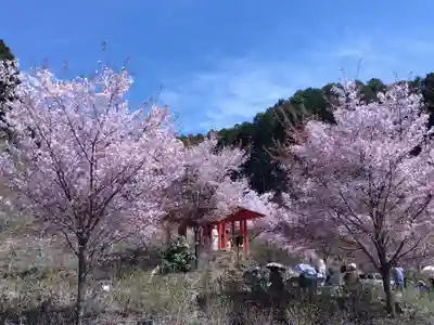 宝泉寺(京都府)
