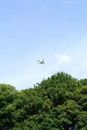 明治神宮(東京都)