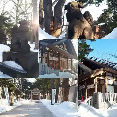 新琴似神社(北海道)