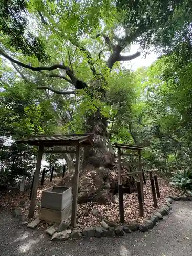 高座結御子神社（熱田神宮摂社）(愛知県)