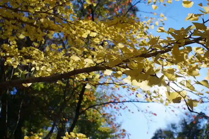 氣比神宮(福井県)
