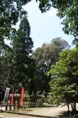 村屋坐弥冨都比売神社(奈良県)