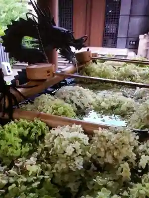 熊野神社(東京都)