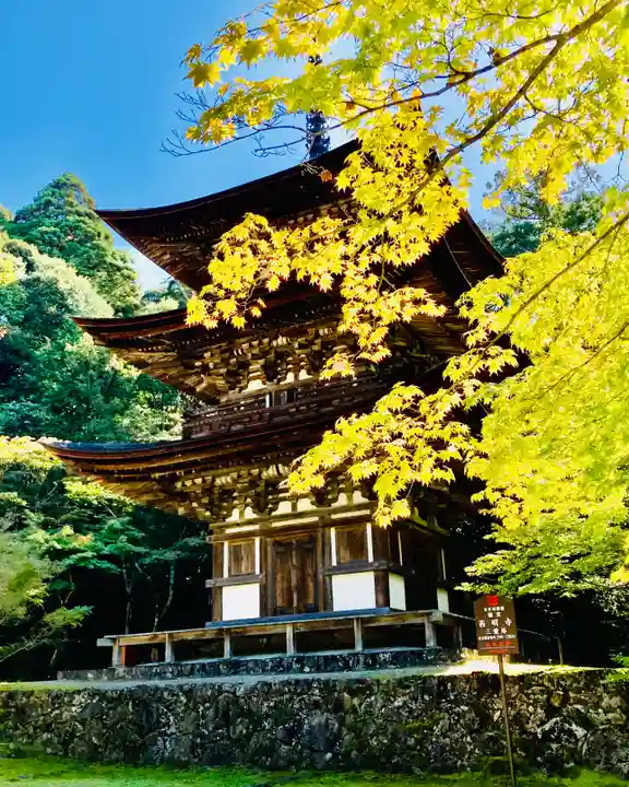 西明寺のその他建物