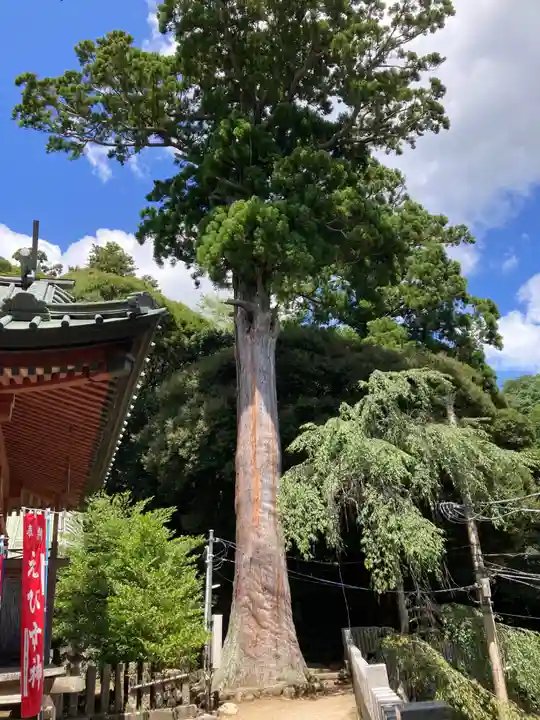 筑波山神社(茨城県)