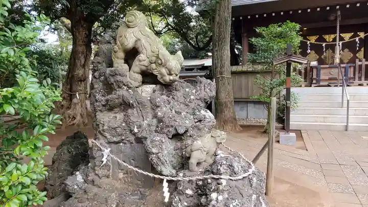 白幡神社の狛犬