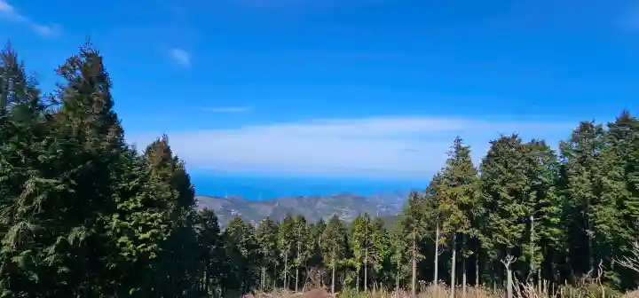出石寺の{uncategorized: "未分類", other: "その他", undefined: "問題あり", building: "その他建物", grave: "お墓", sacred_gate: "鳥居", guardian: "狛犬", statue: "像", buddha: "仏像", history: "歴史", nature: "自然", garden: "庭園", animal: "動物", pagoda: "塔", temizu: "手水舎", mountain_gate: "山門・神門", sanctuary: "本殿・本堂", subordinate: "末社・摂社", art: "芸術", scenery: "景色", jizo: "地蔵", ema: "絵馬", goshuin: "御朱印", omikuji: "おみくじ", items: "授与品その他", amulet: "お守り", goshuincho: "御朱印帳", eats: "食事", festival: "お祭り", votive_dance: "神楽", shichigosan: "七五三参", wedding: "結婚式", experience: "体験その他", initially: "初詣", around: "周辺", anti_infection: "感染症対策"}