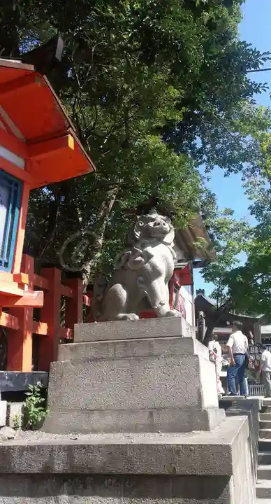 八坂神社(祇園さん)の狛犬