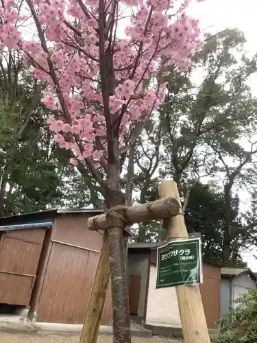 富部神社の自然